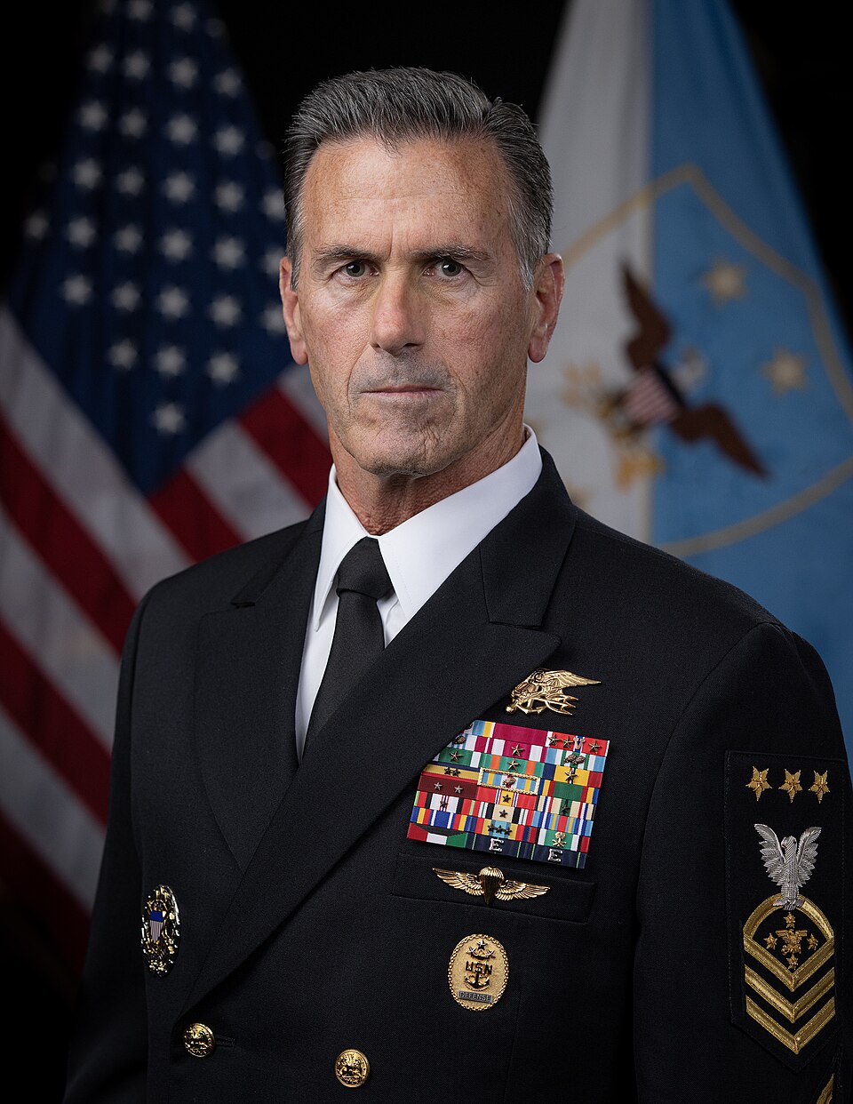 Official portrait of SEAC David L. Isom